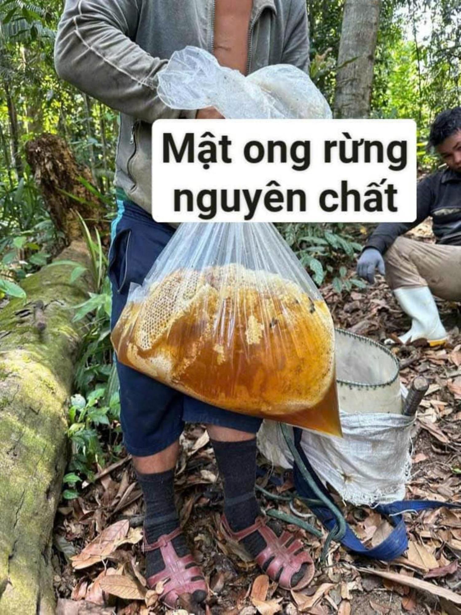 Homestay Ho Son - Thac Anor A Luoi Kültér fotó
