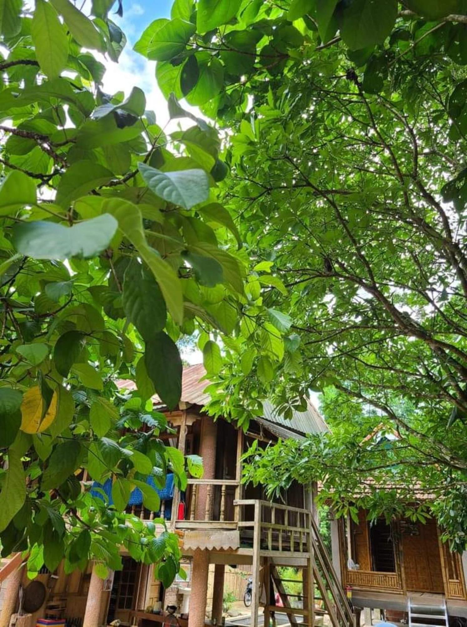 Homestay Ho Son - Thac Anor A Luoi Kültér fotó