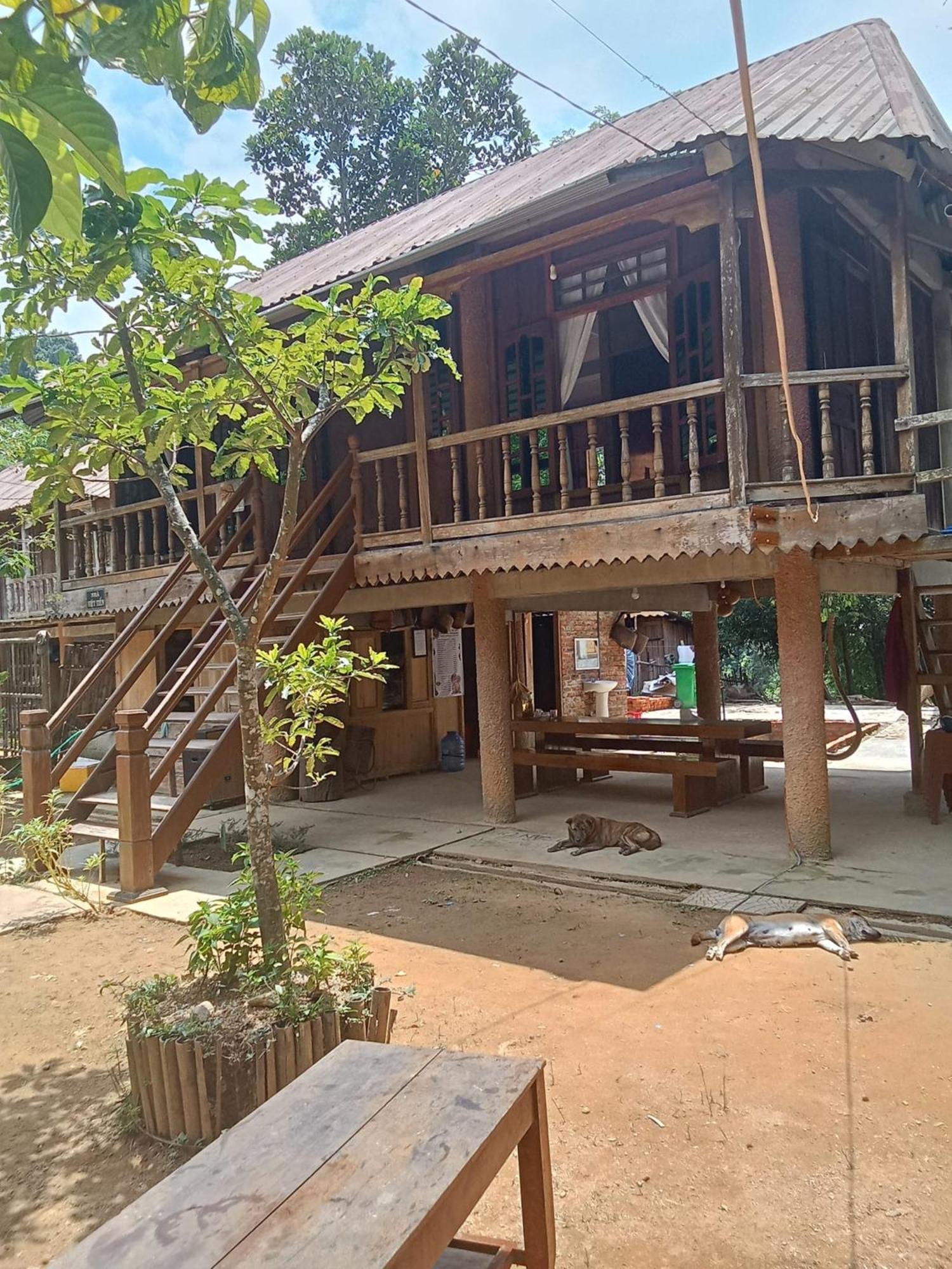 Homestay Ho Son - Thac Anor A Luoi Kültér fotó