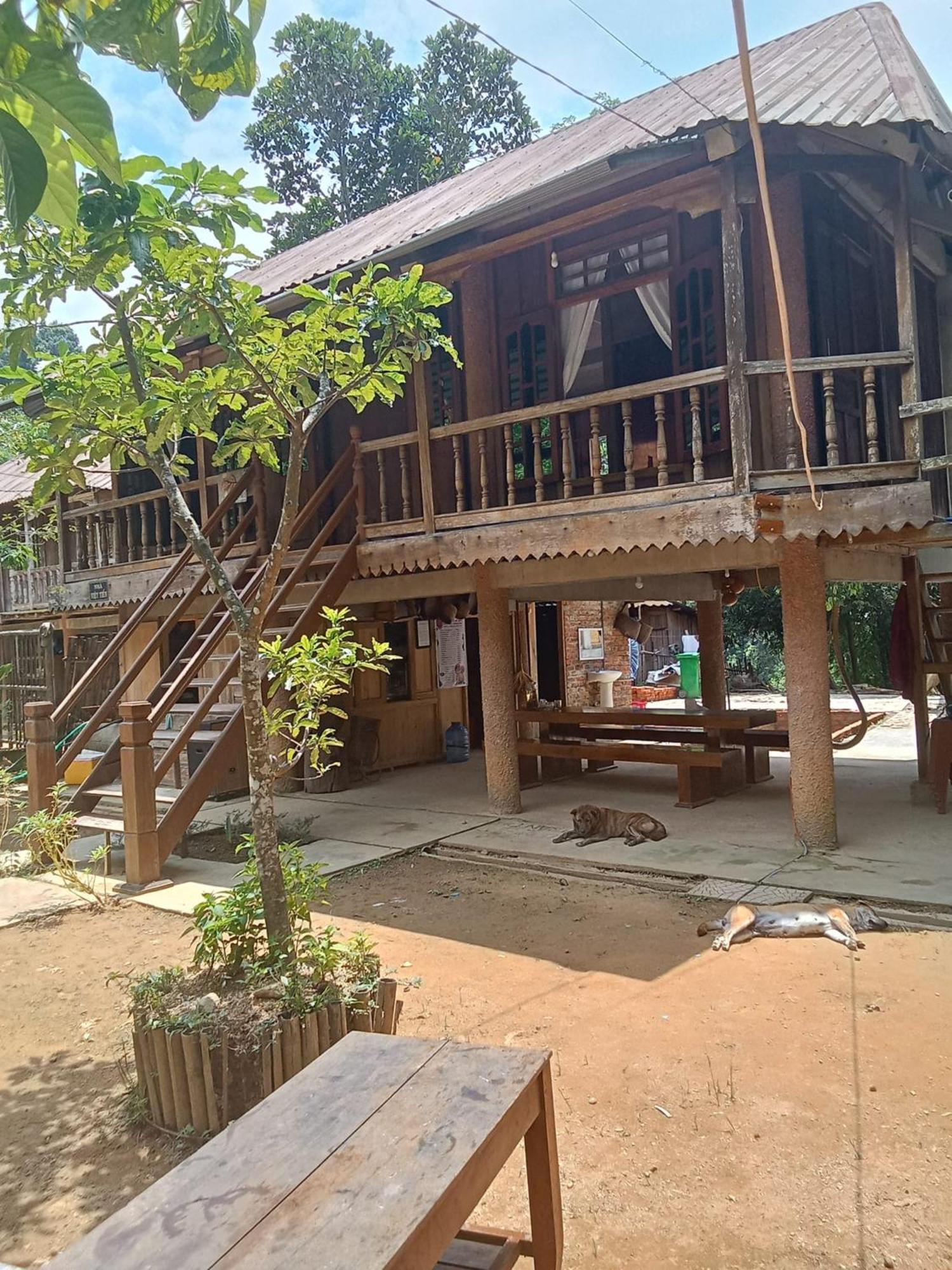Homestay Ho Son - Thac Anor A Luoi Kültér fotó